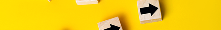Foto: Andrii Yalanskyi – stock.adobe.com