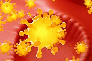 Coronavirus-Pandemie