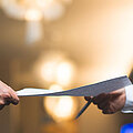 Foto: DragonImages – stock.adobe.com