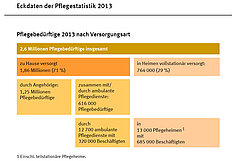 Pflegebedürftige nach Versorgungsart 2013 (Grafik: Destatis)