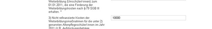 Online-Eingabesystem PFAD.web