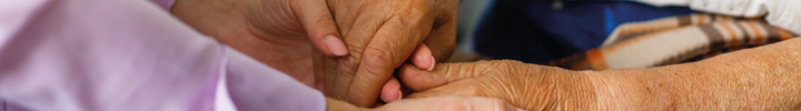 Foto: Angelov – stock.adobe.com