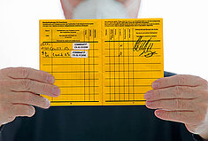 Foto: artfocus – stock.adobe.com